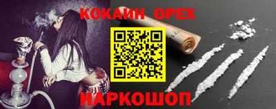 твердый Кингисепп