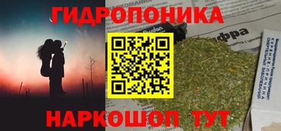 стафф Кинель