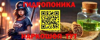 твердый Кингисепп