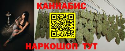 твердый Кингисепп