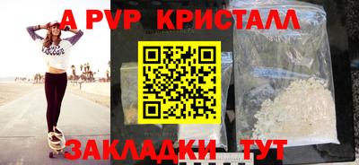 твердый Кингисепп