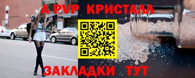 твердый Кингисепп
