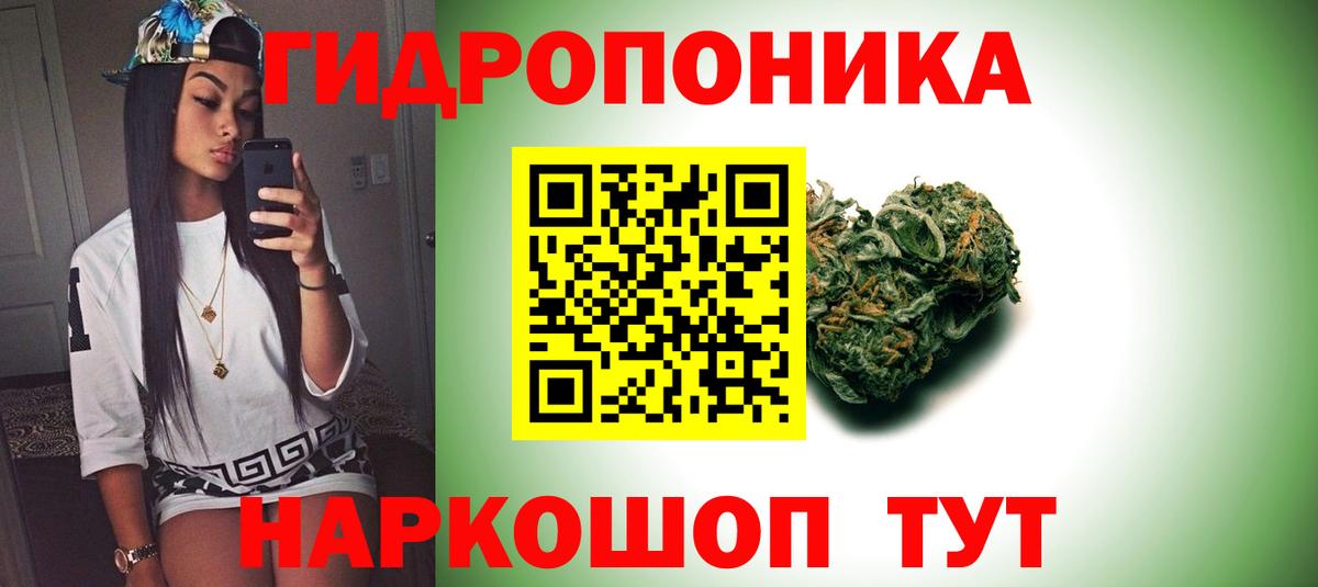Шишки марихуана OG Kush Чехов